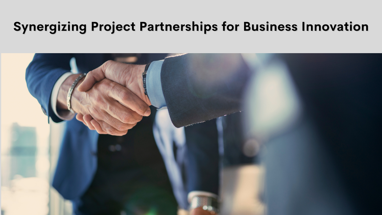 Innovation through Collaboration: Harnessing the Power of Project Partnerships for Business Growth