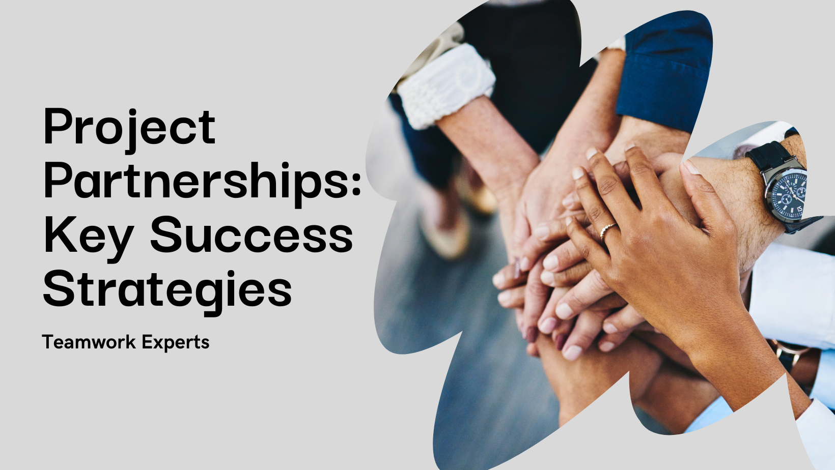 Navigating the Journey: Best Practices for Successful Project Partnerships